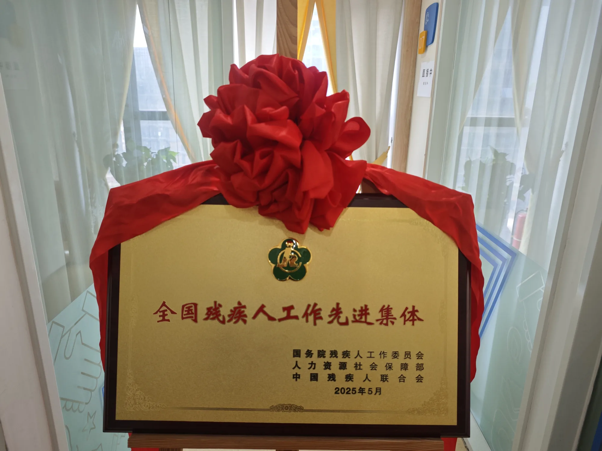全国残疾人工作先进集体牌匾（系红绸）